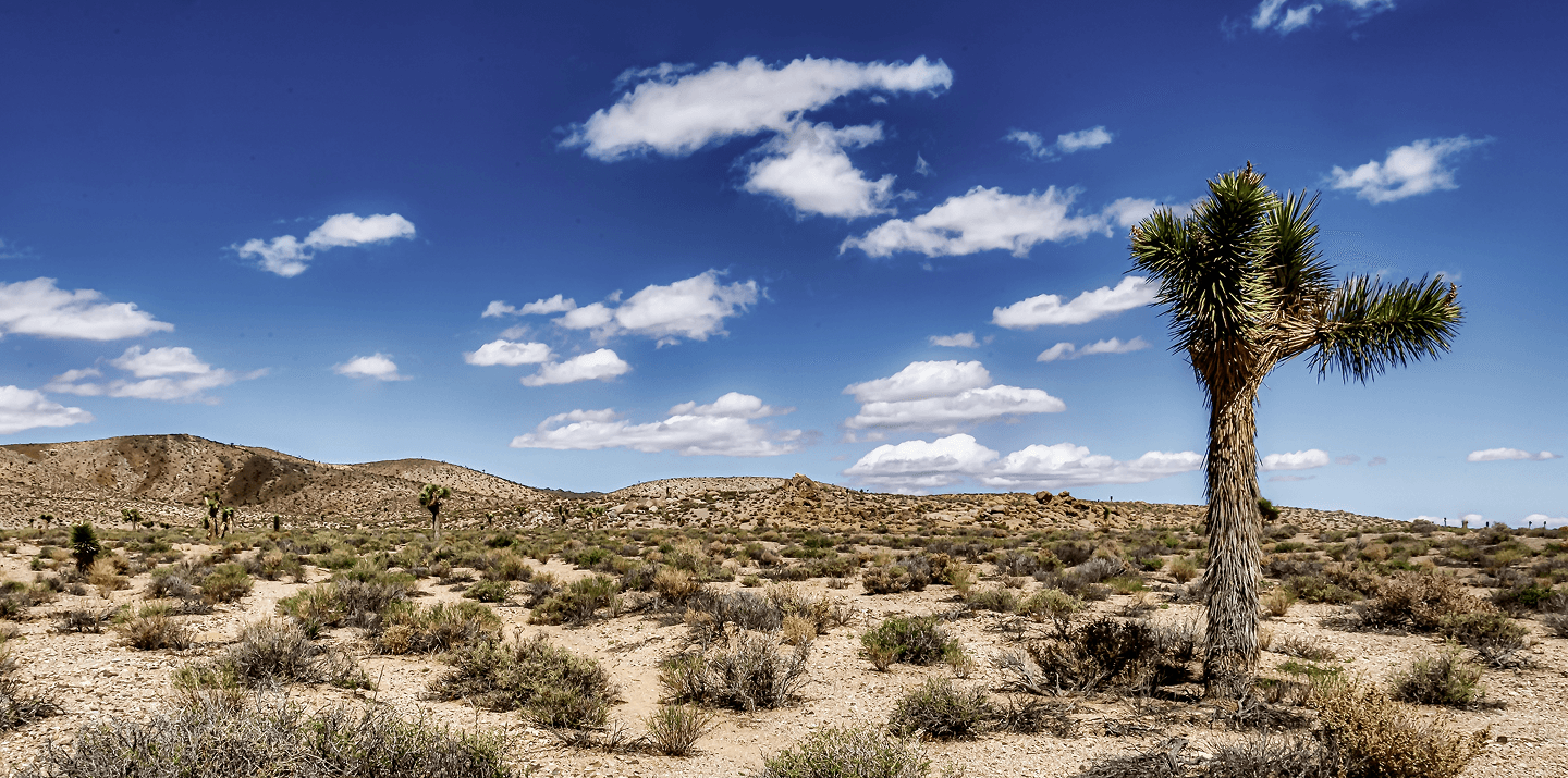 Profesjonalne doradztwo środowiskowe - pustynny krajobraz symbolizujący nową identyfikację EkoRadcy